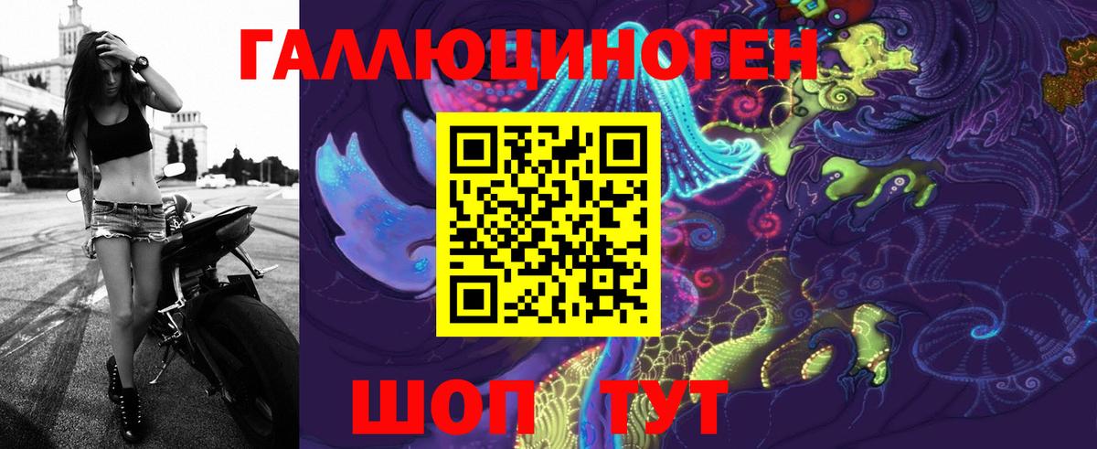 Псилоцибиновые грибы Psilocybe  Вход с VPN  Медногорск 